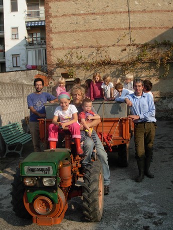 Vendemmia