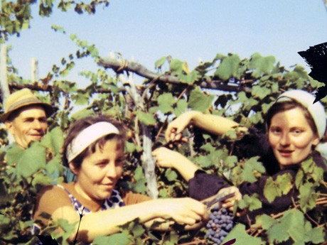1969